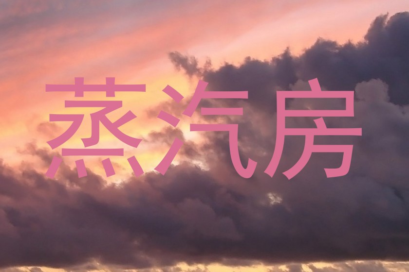 蒸汽房