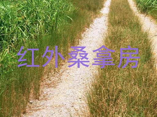 红外桑拿房