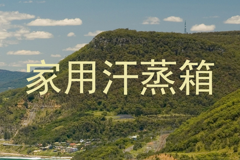 家用汗蒸箱