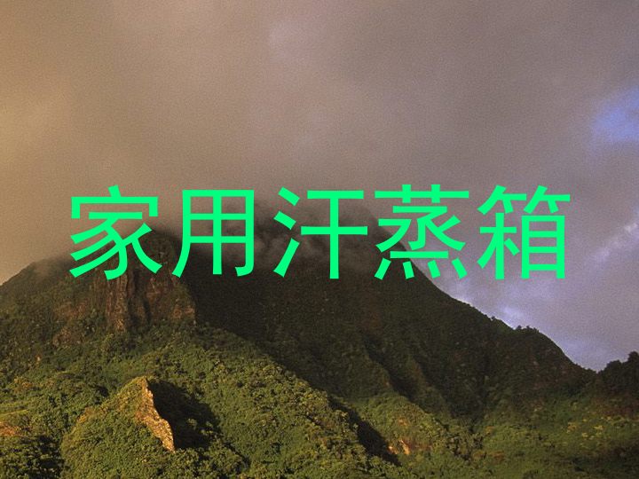 家用汗蒸箱