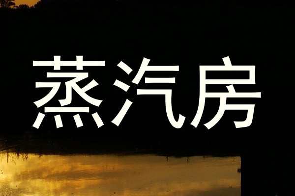 蒸汽房