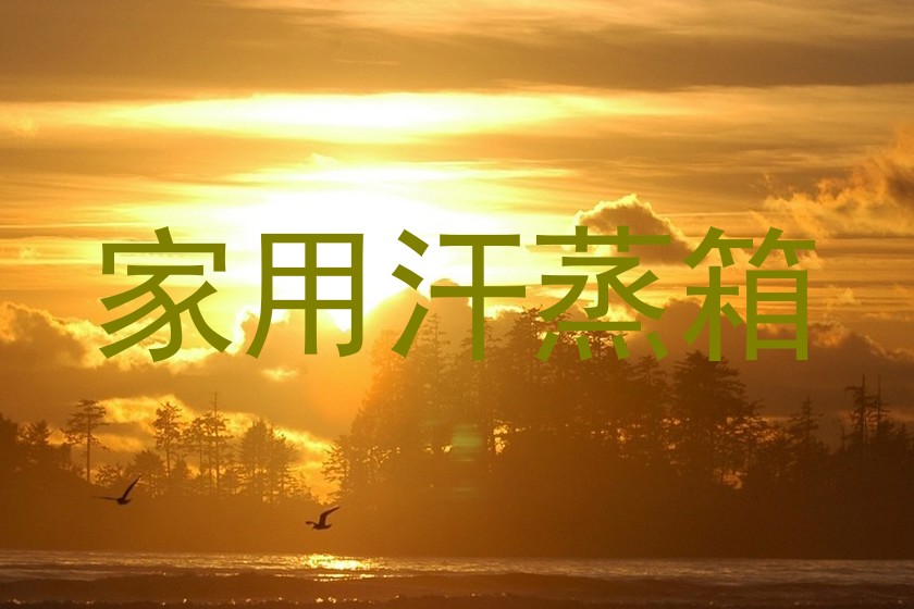 家用汗蒸箱