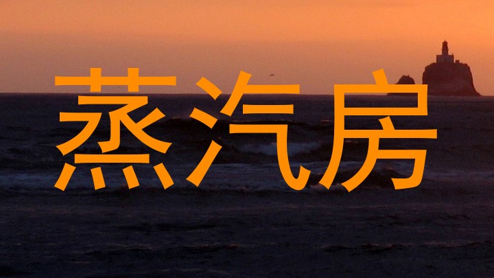 蒸汽房