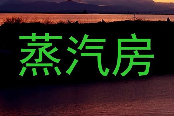 蒸汽房