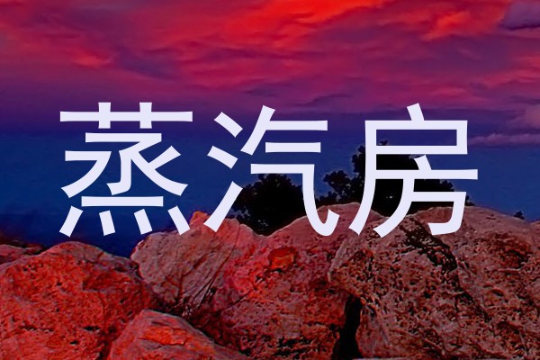 蒸汽房