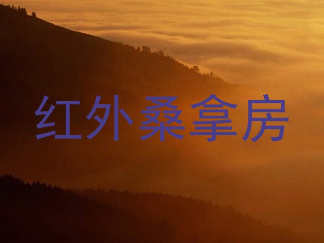 红外桑拿房