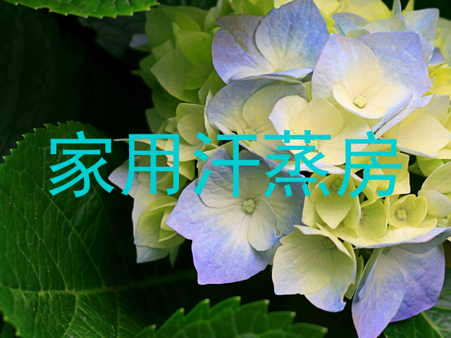 家用汗蒸房