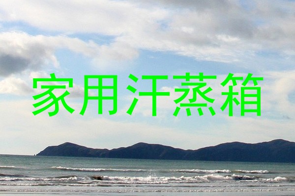 家用汗蒸箱
