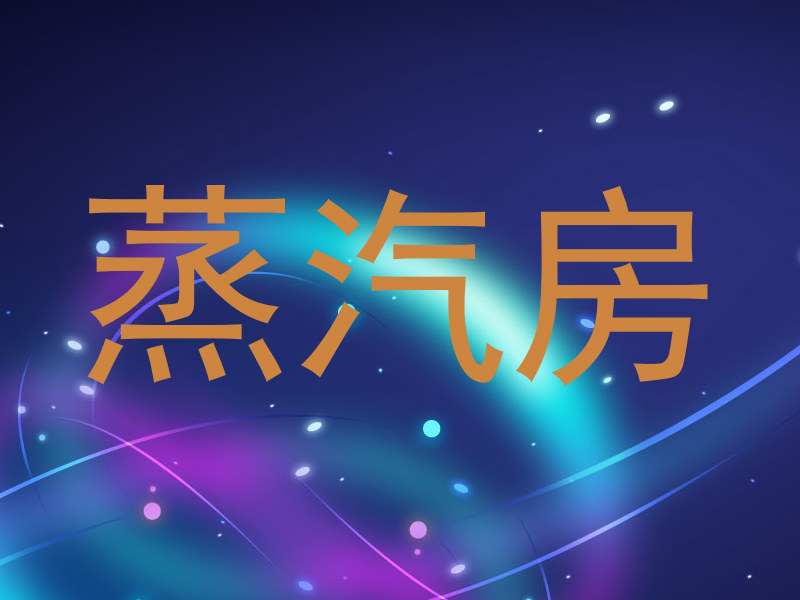 蒸汽房