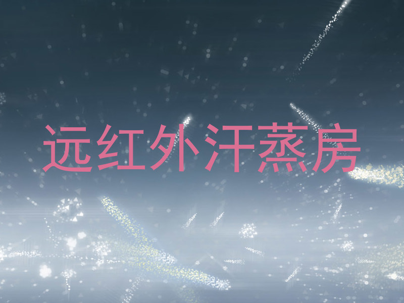 远红外汗蒸房