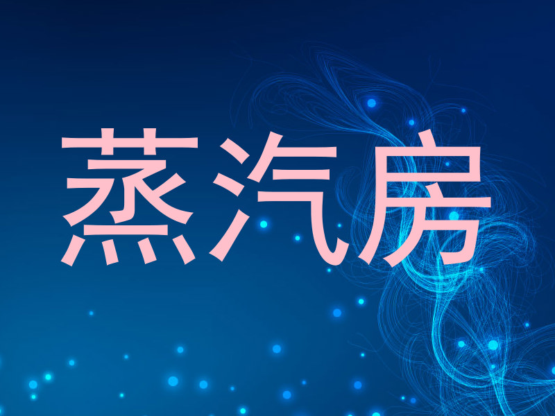 蒸汽房