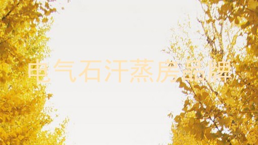 电气石汗蒸房品牌