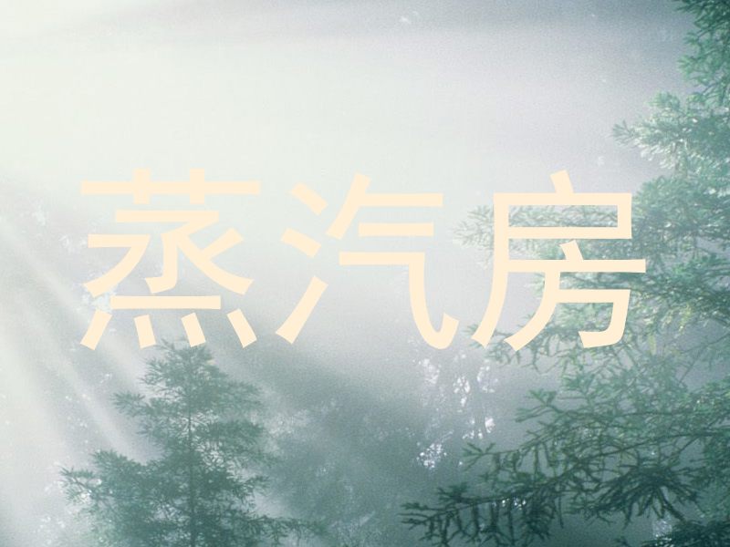 蒸汽房