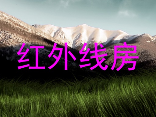 红外线房