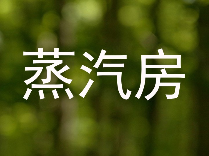 蒸汽房