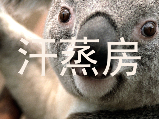 汗蒸房