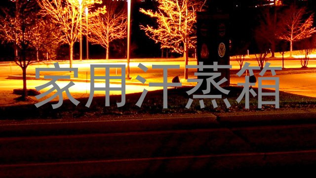 家用汗蒸箱