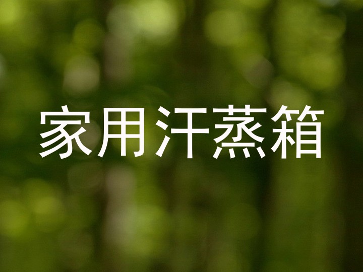 家用汗蒸箱