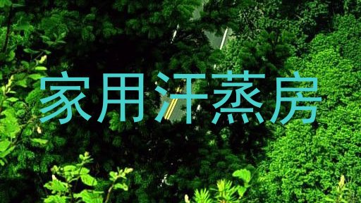 家用汗蒸房