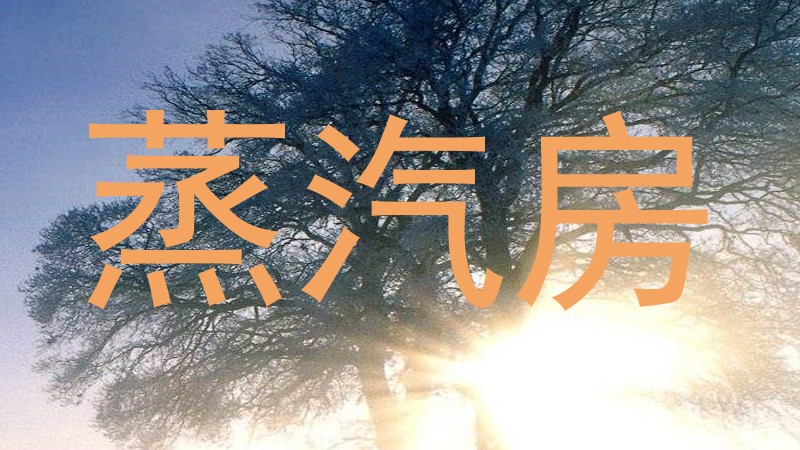 蒸汽房