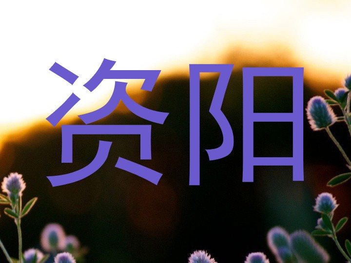 资阳