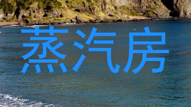 蒸汽房