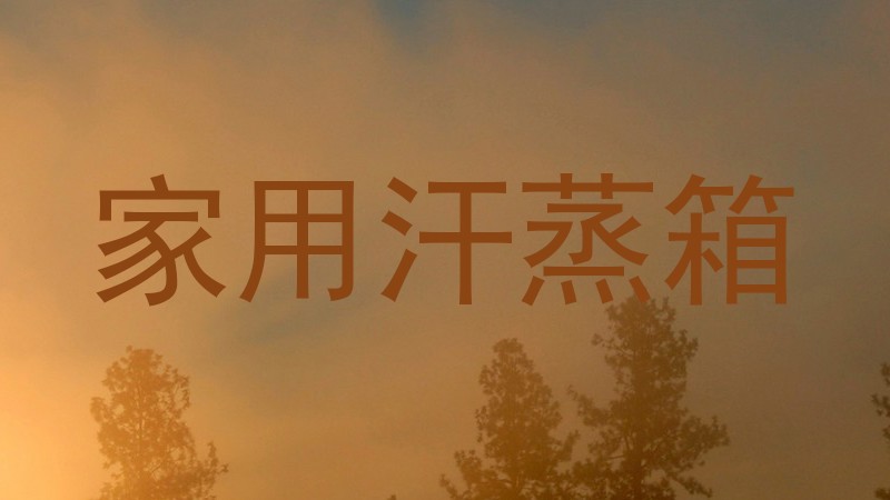 家用汗蒸箱