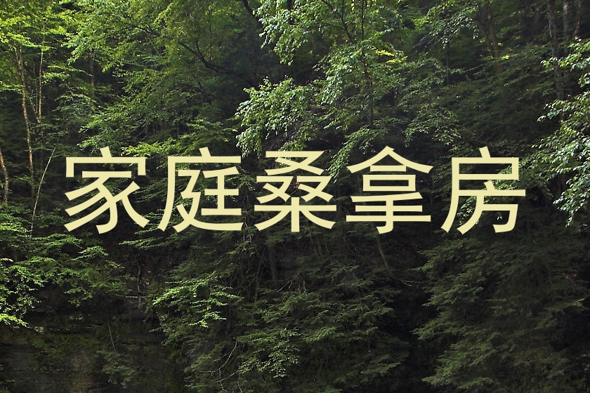 家庭桑拿房