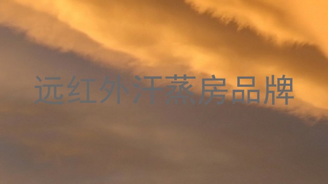 远红外汗蒸房品牌