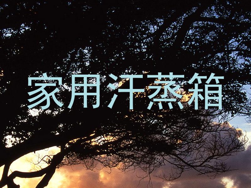 家用汗蒸箱
