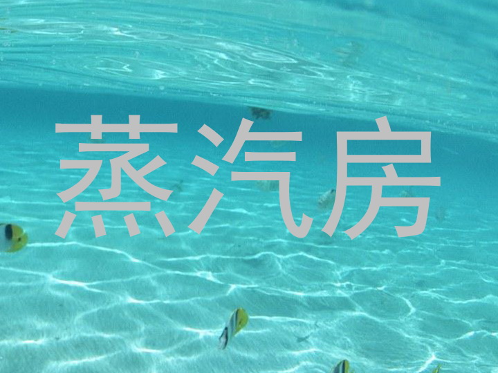 蒸汽房