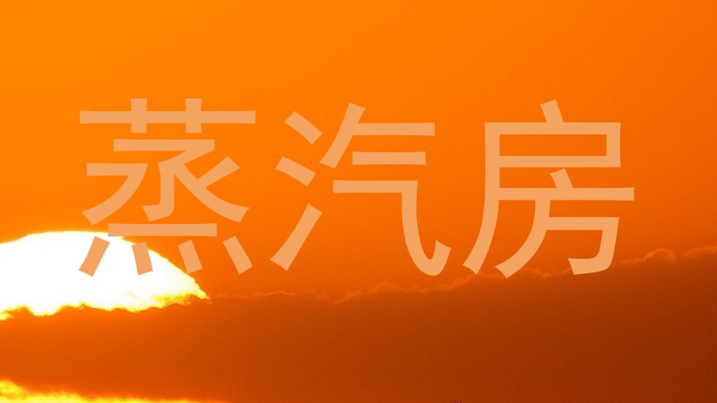 蒸汽房