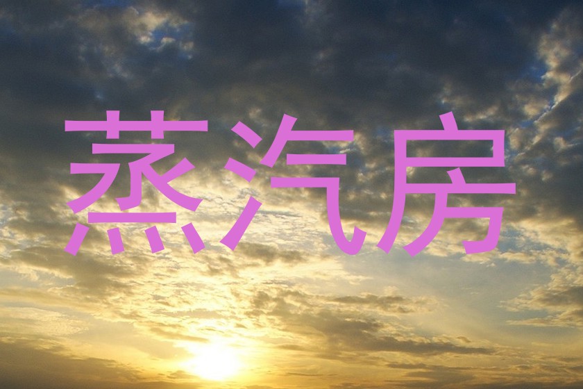 蒸汽房