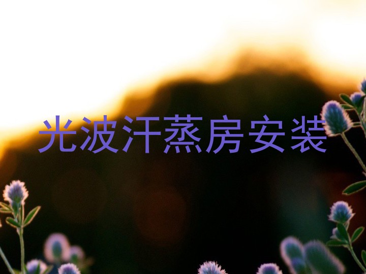 光波汗蒸房安装