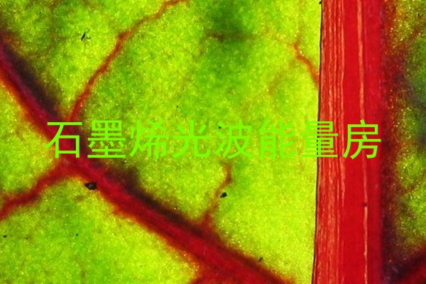 石墨烯光波能量房