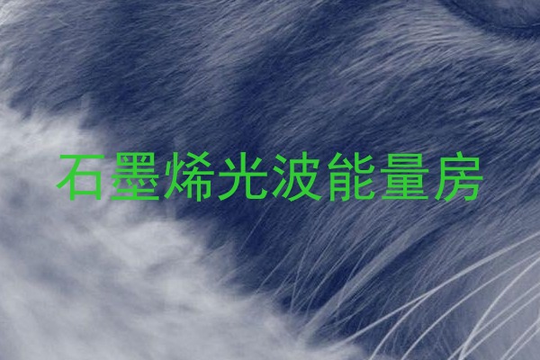石墨烯光波能量房