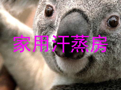 家用汗蒸房