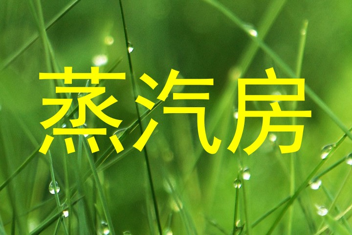 蒸汽房