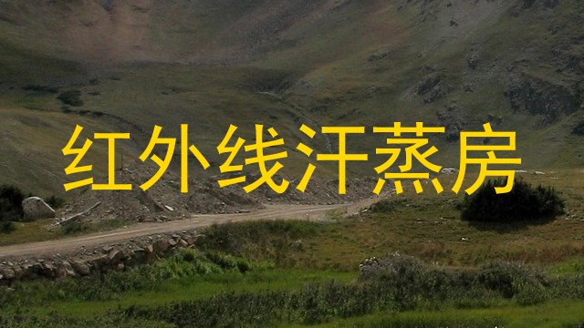 红外线汗蒸房