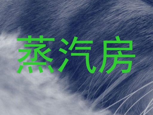 蒸汽房