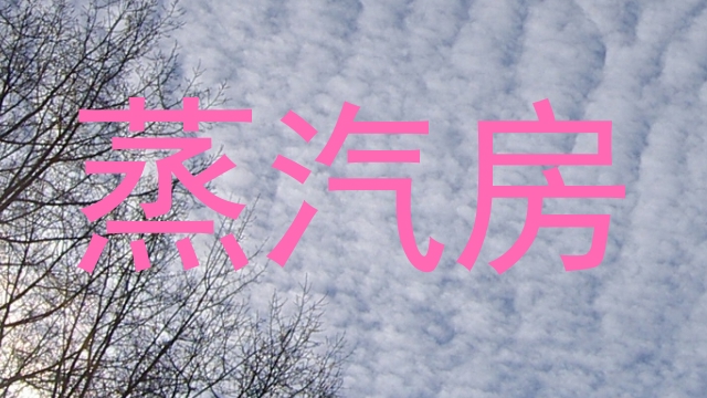 蒸汽房