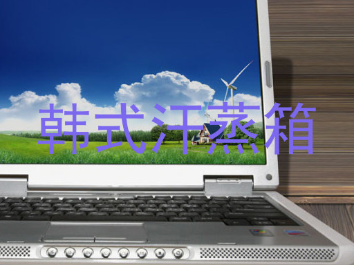 韩式汗蒸箱