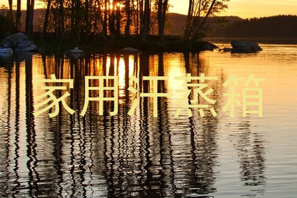 家用汗蒸箱