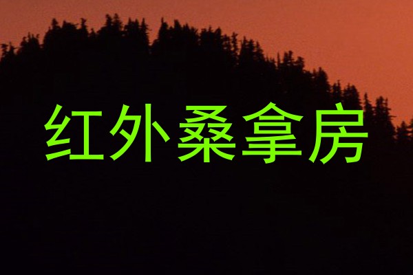 红外桑拿房