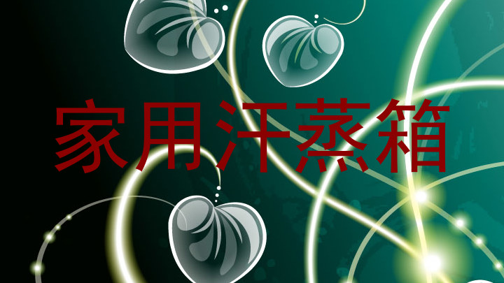 家用汗蒸箱