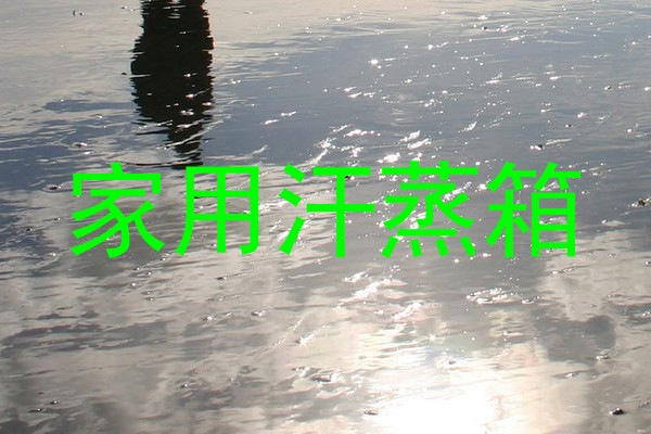 家用汗蒸箱