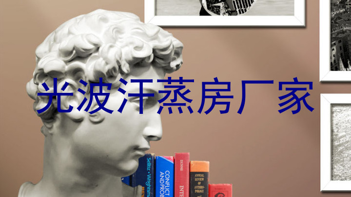 光波汗蒸房厂家