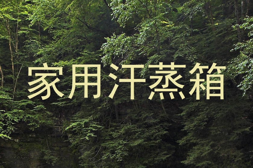 家用汗蒸箱
