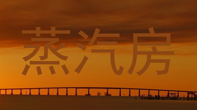 蒸汽房