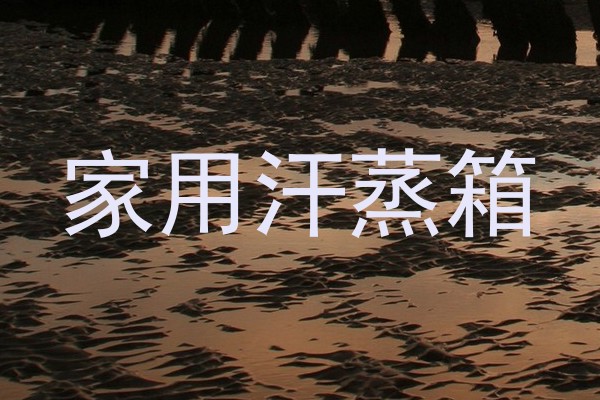 家用汗蒸箱